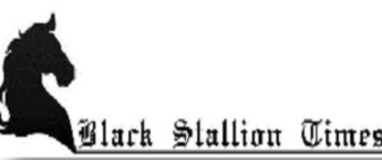 Black Stallion Times newspaper display advertising, how to put an ad in the Black Stallion Times newspaper
